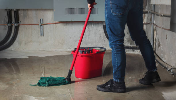 Best Flooded house restoration  in Lansdowne, VA