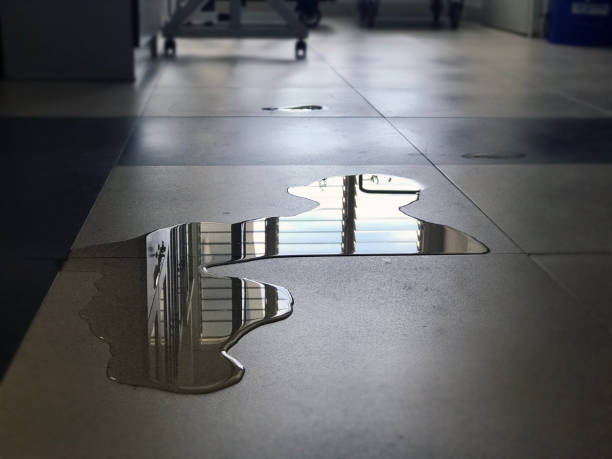 Best Professional water damage repair  in Lansdowne, VA