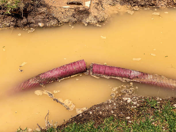 Best Water damage restoration insurance claims  in Lansdowne, VA
